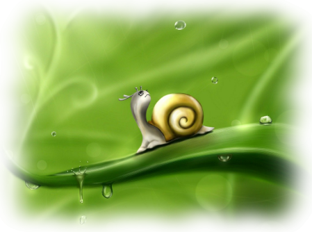 Armonia life-style il viaggio e il viandante